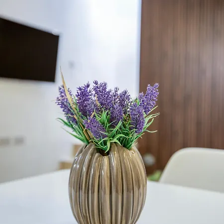 Charming And Modern 1br House In Historic By 360 Estates