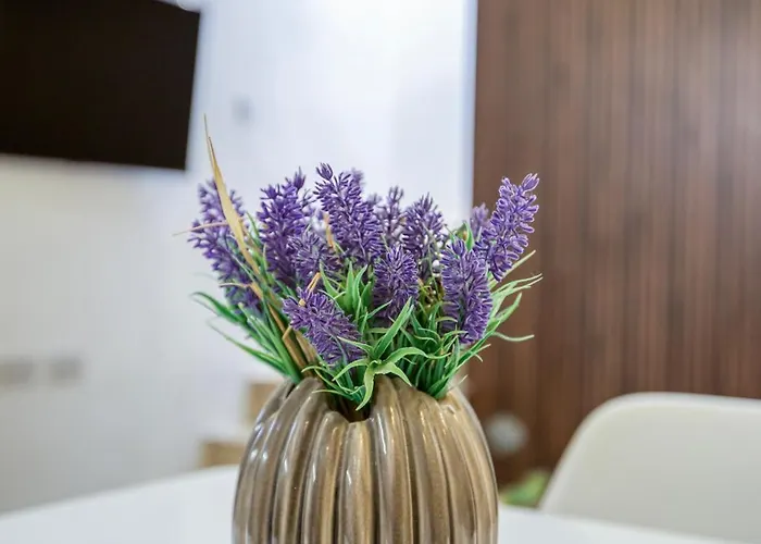 Charming And Modern 1br House In Historic By 360 Estates